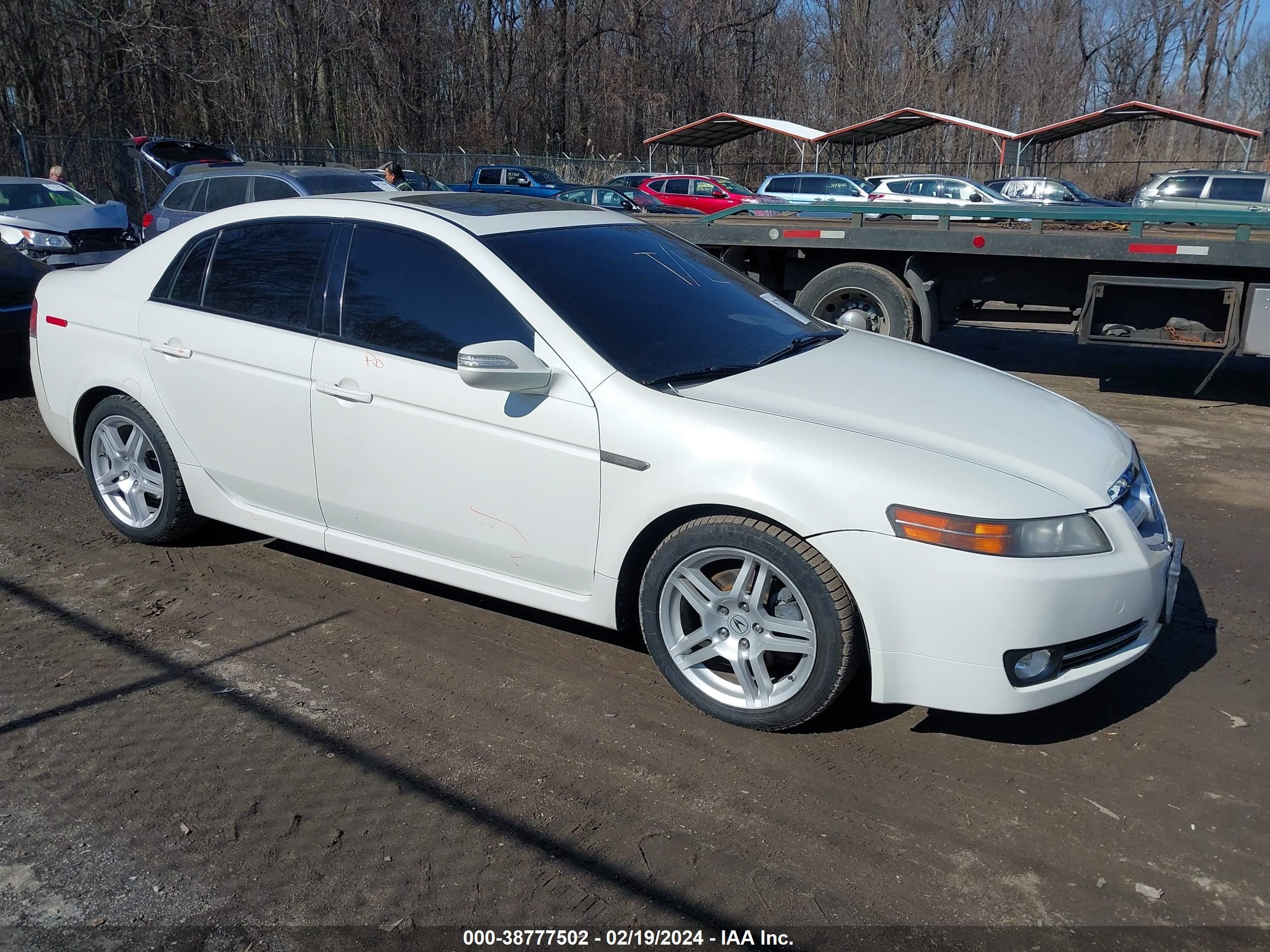 ACURA TL 2008 19uua66258a028118