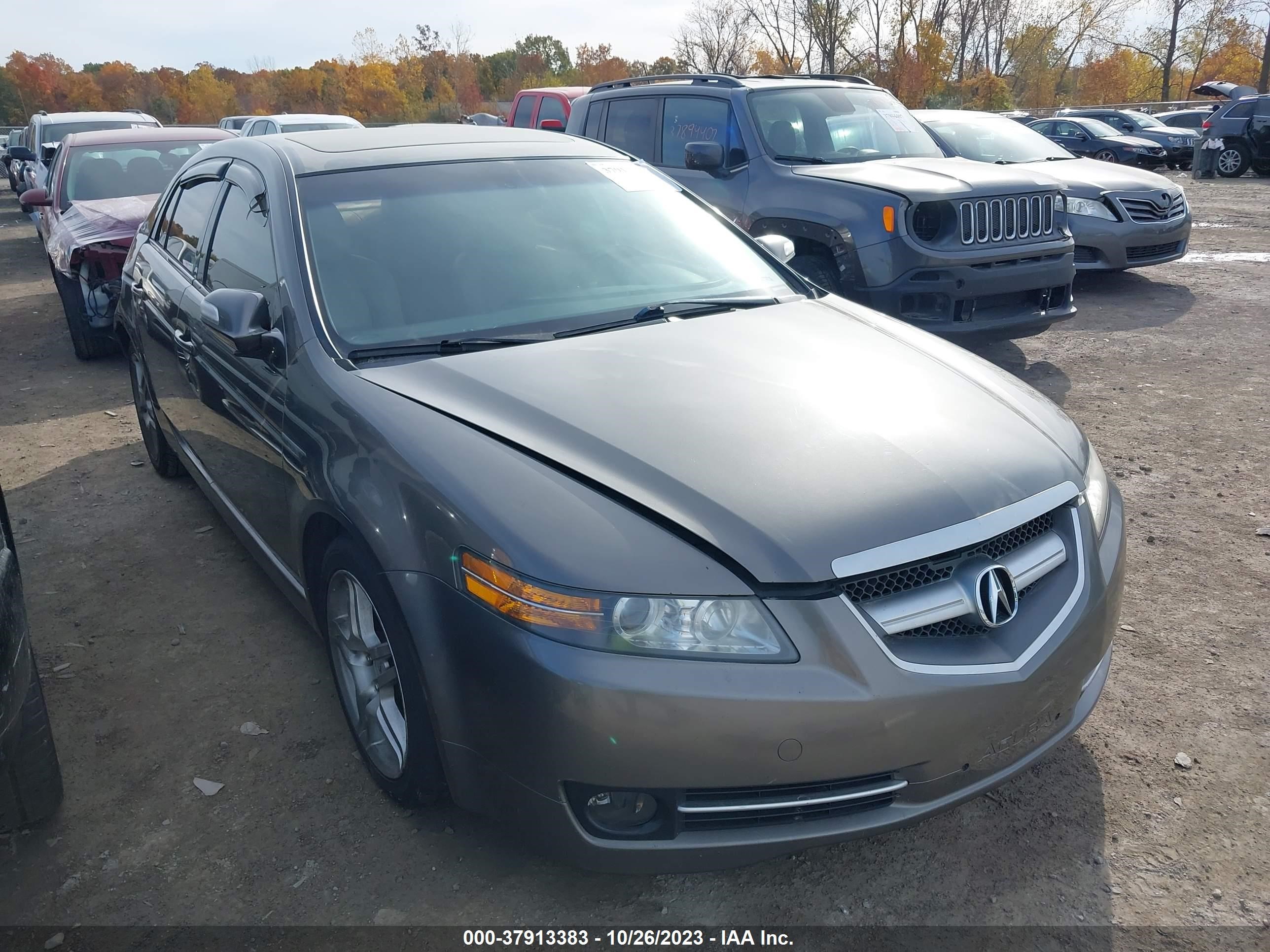 ACURA TL 2008 19uua66258a037983