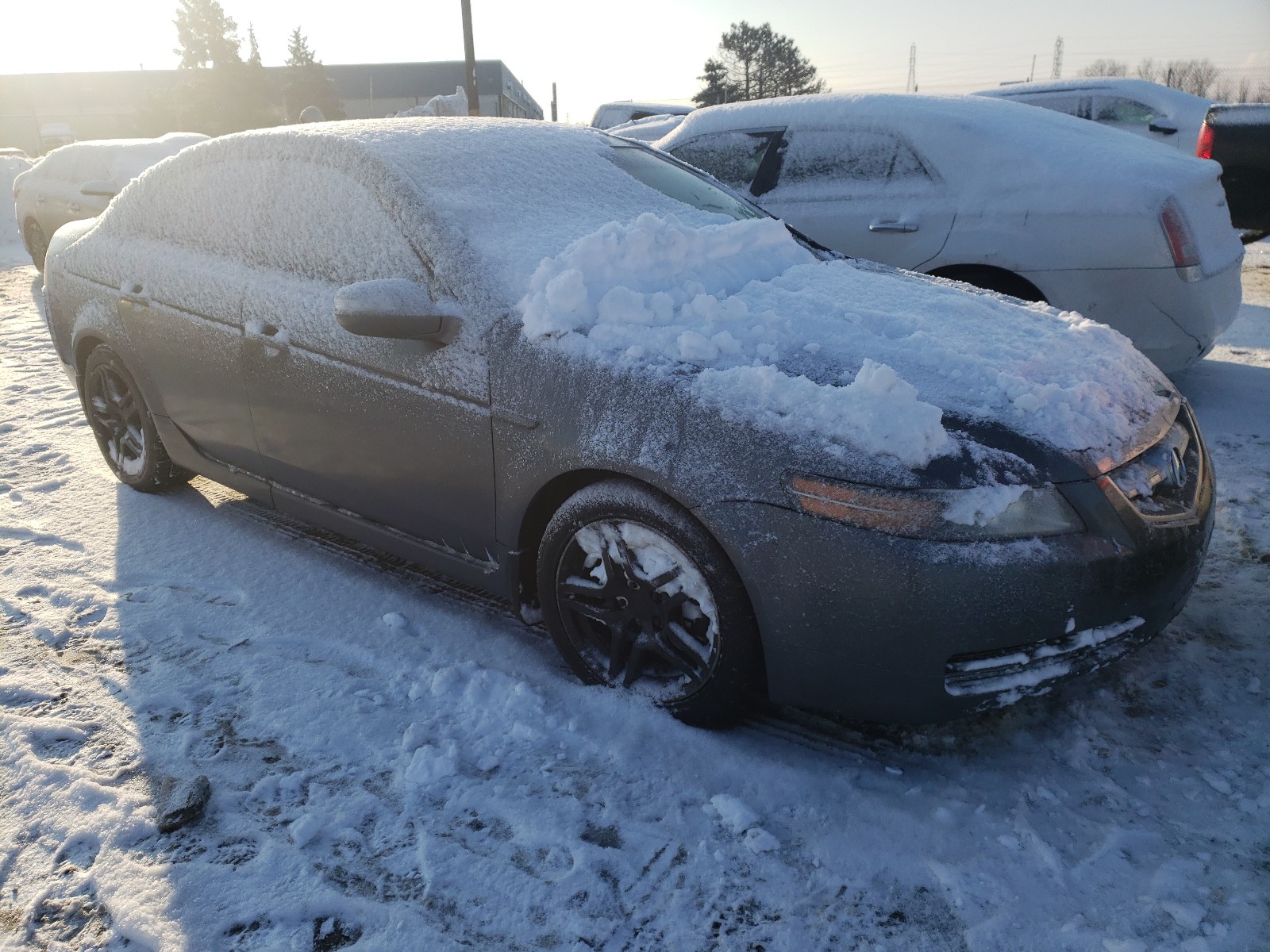 ACURA TL 2008 19uua66258a045095