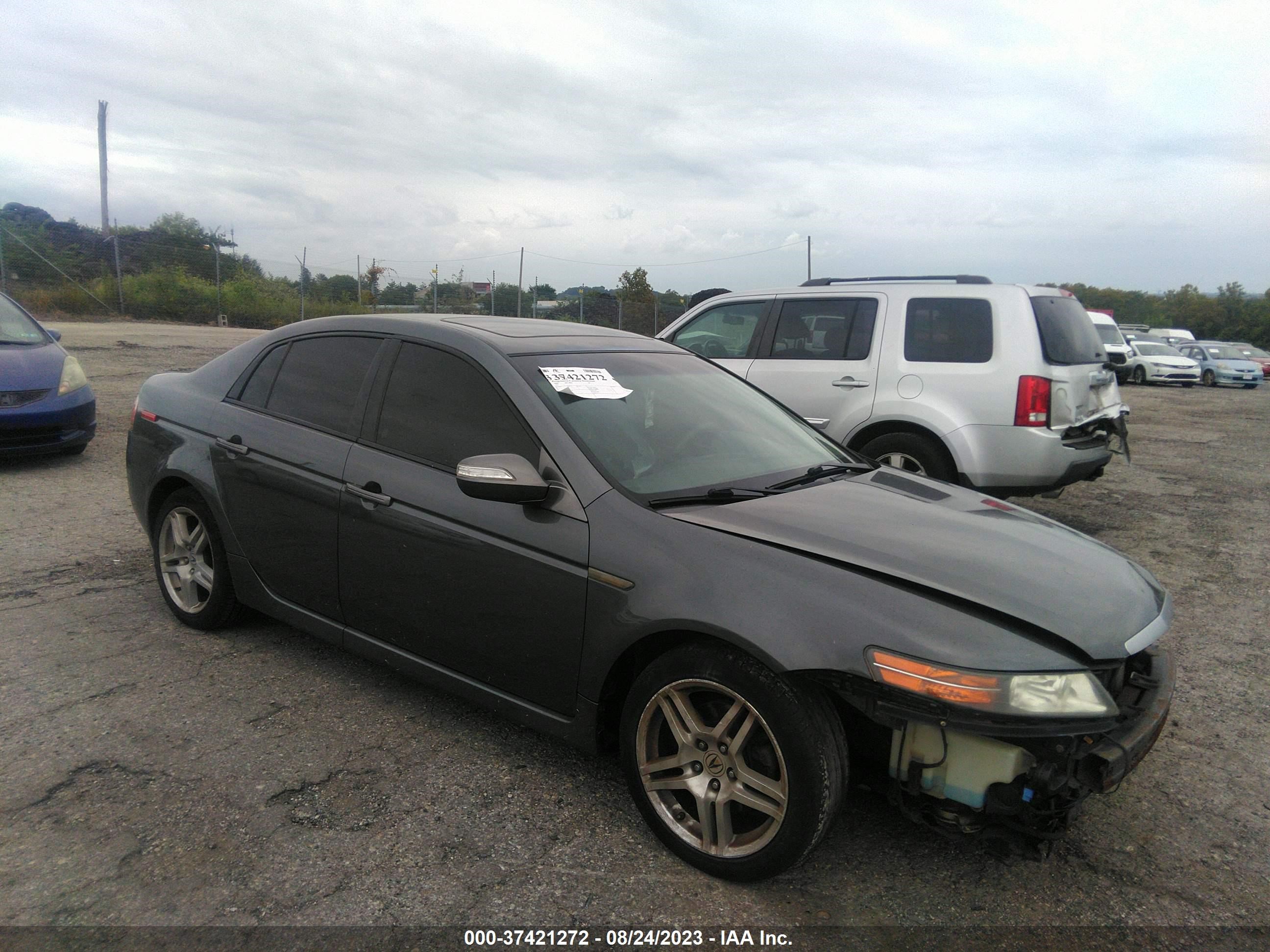 ACURA TL 2008 19uua66258a045131