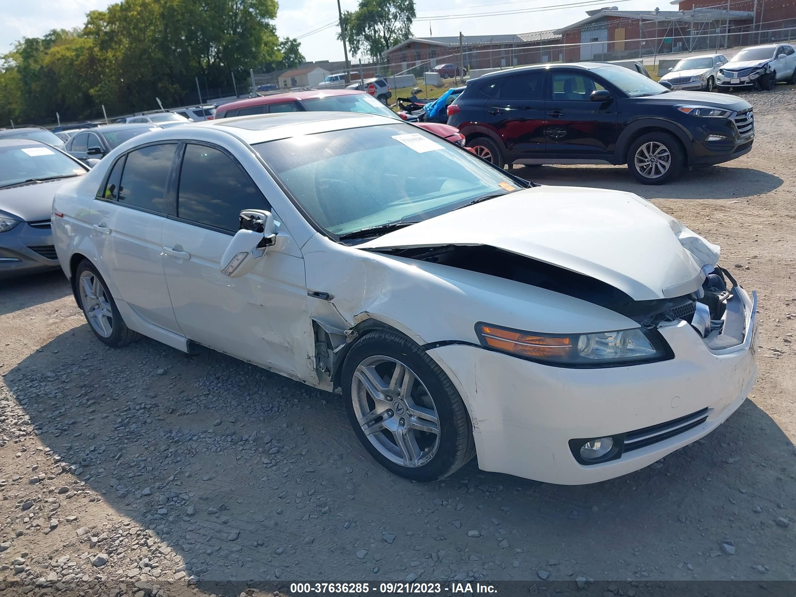 ACURA TL 2008 19uua66258a045551