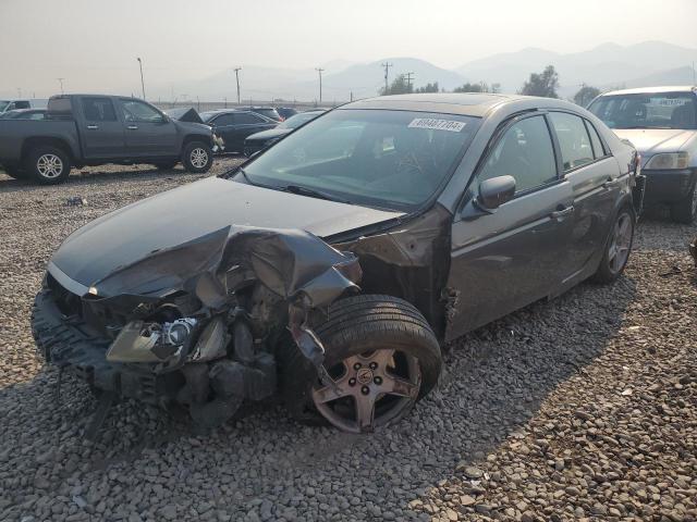 ACURA TL 2004 19uua66264a071845