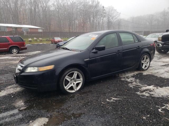 ACURA TL 2004 19uua66264a074745