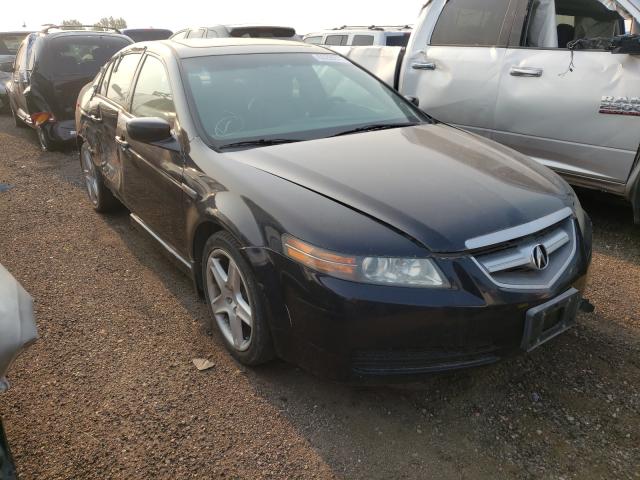 ACURA TL 2005 19uua66265a038734