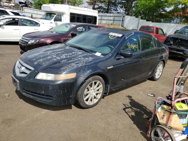 ACURA TL 2005 19uua66265a042203