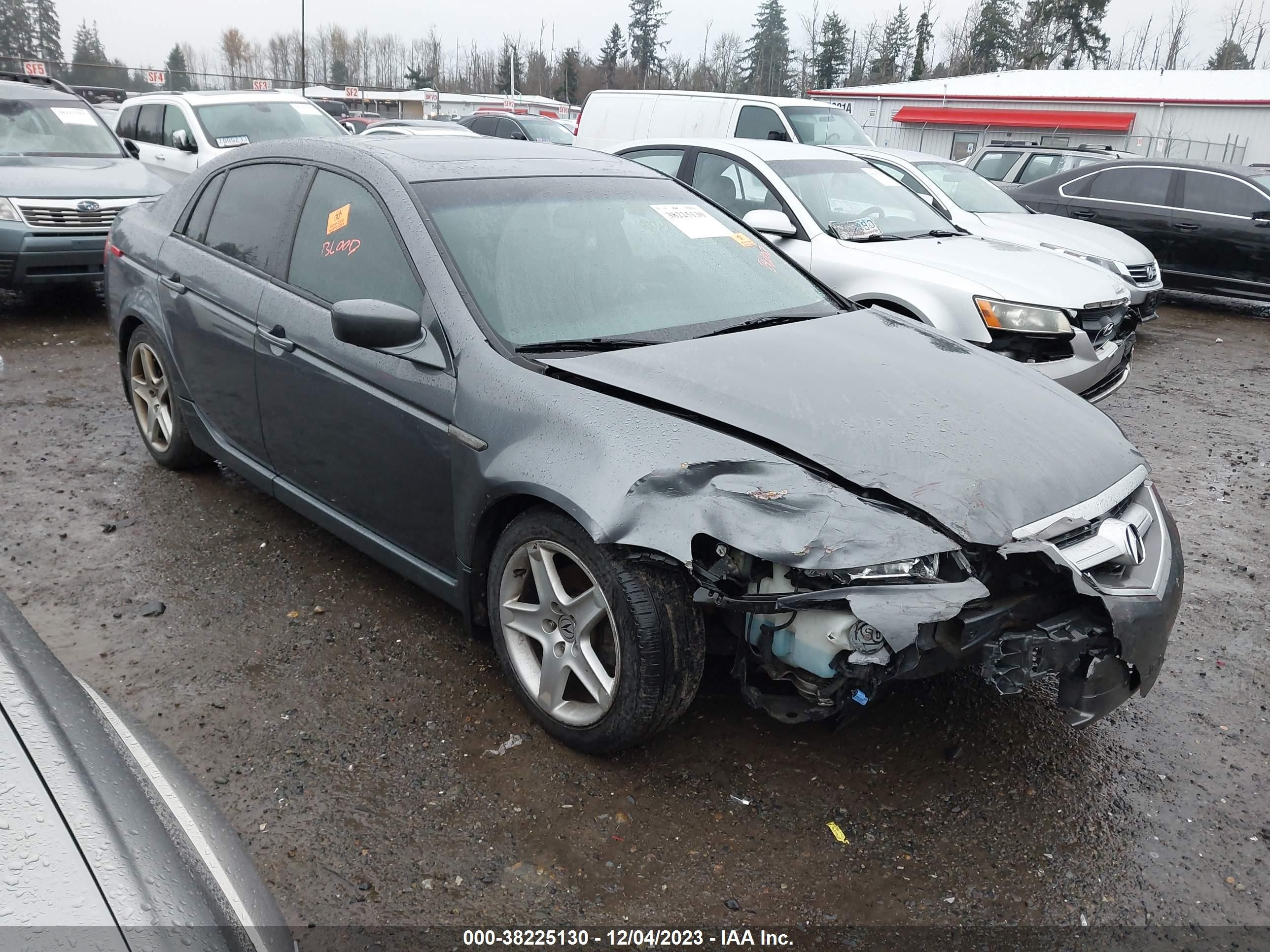 ACURA TL 2005 19uua66265a047160