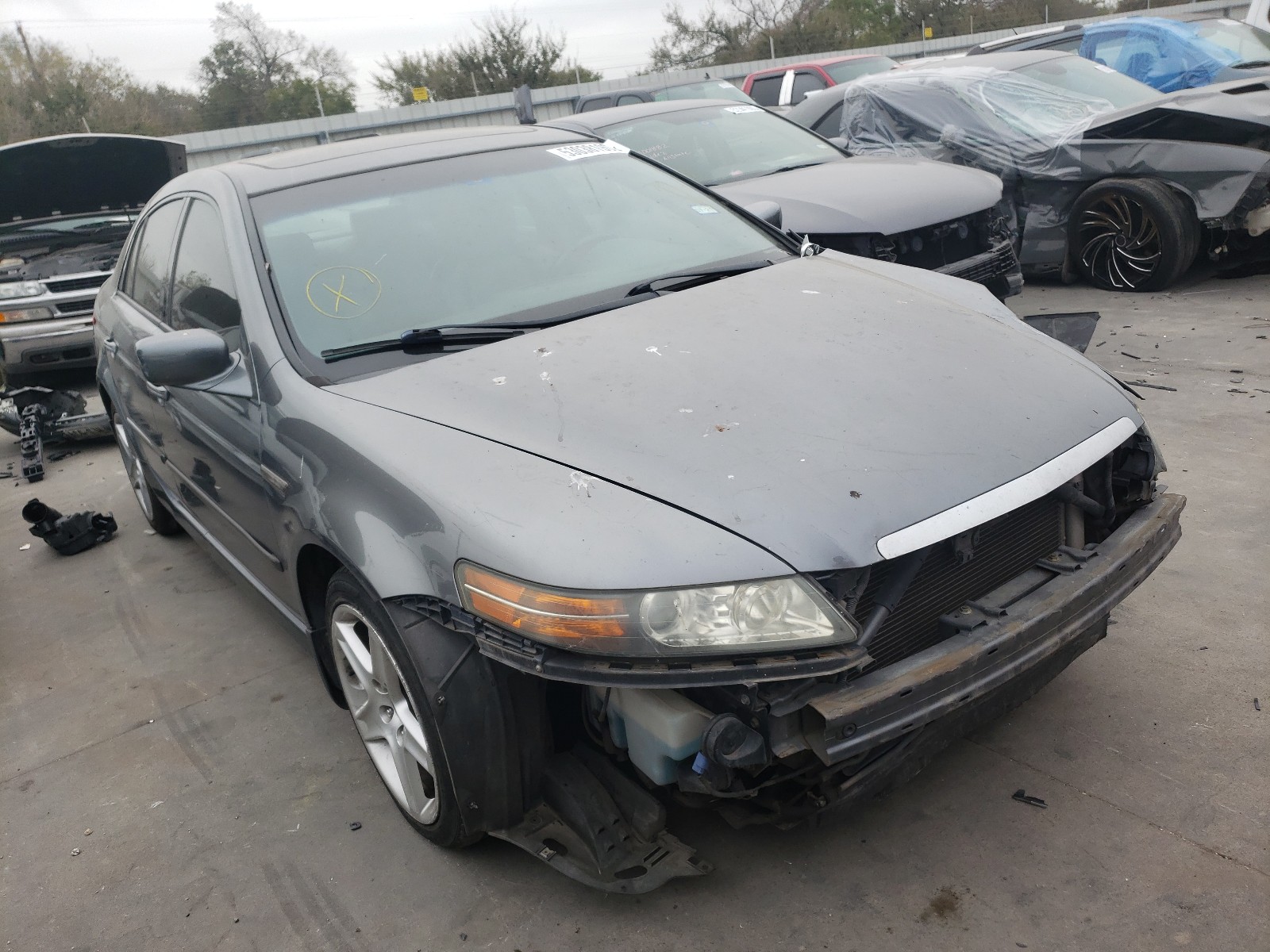 ACURA TL 2006 19uua66266a005217