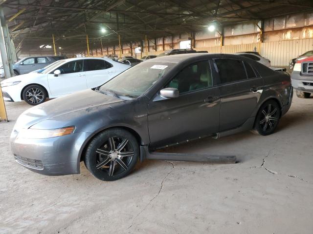 ACURA TL 2006 19uua66266a008022