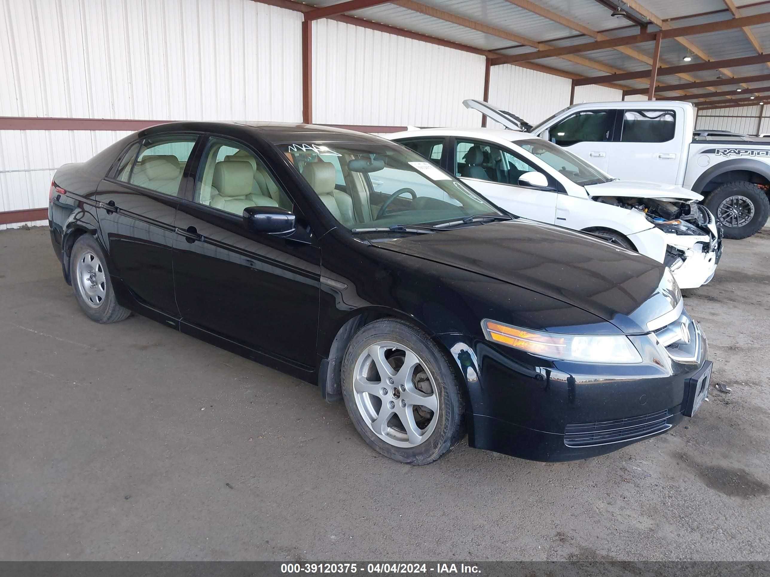 ACURA TL 2006 19uua66266a010109