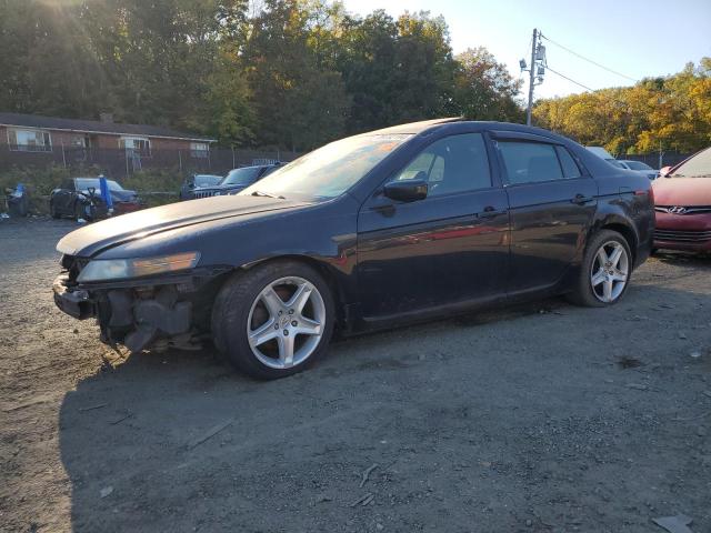 ACURA 3.2TL 2006 19uua66266a019666