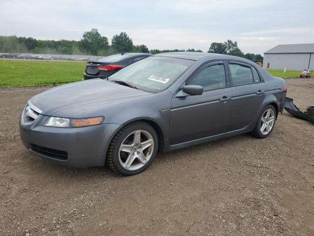 ACURA 3.2TL 2006 19uua66266a034751