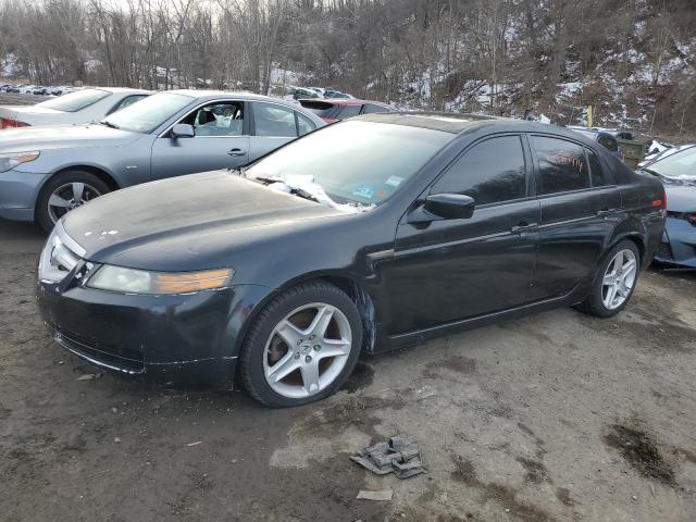 ACURA TL 2006 19uua66266a041859