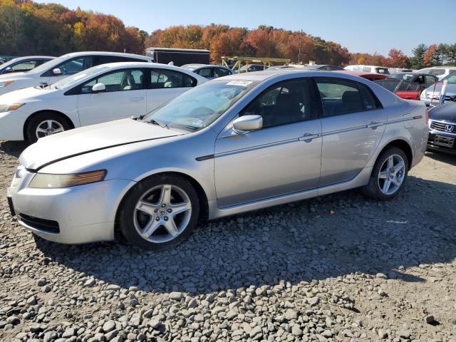 ACURA 3.2TL 2006 19uua66266a048116