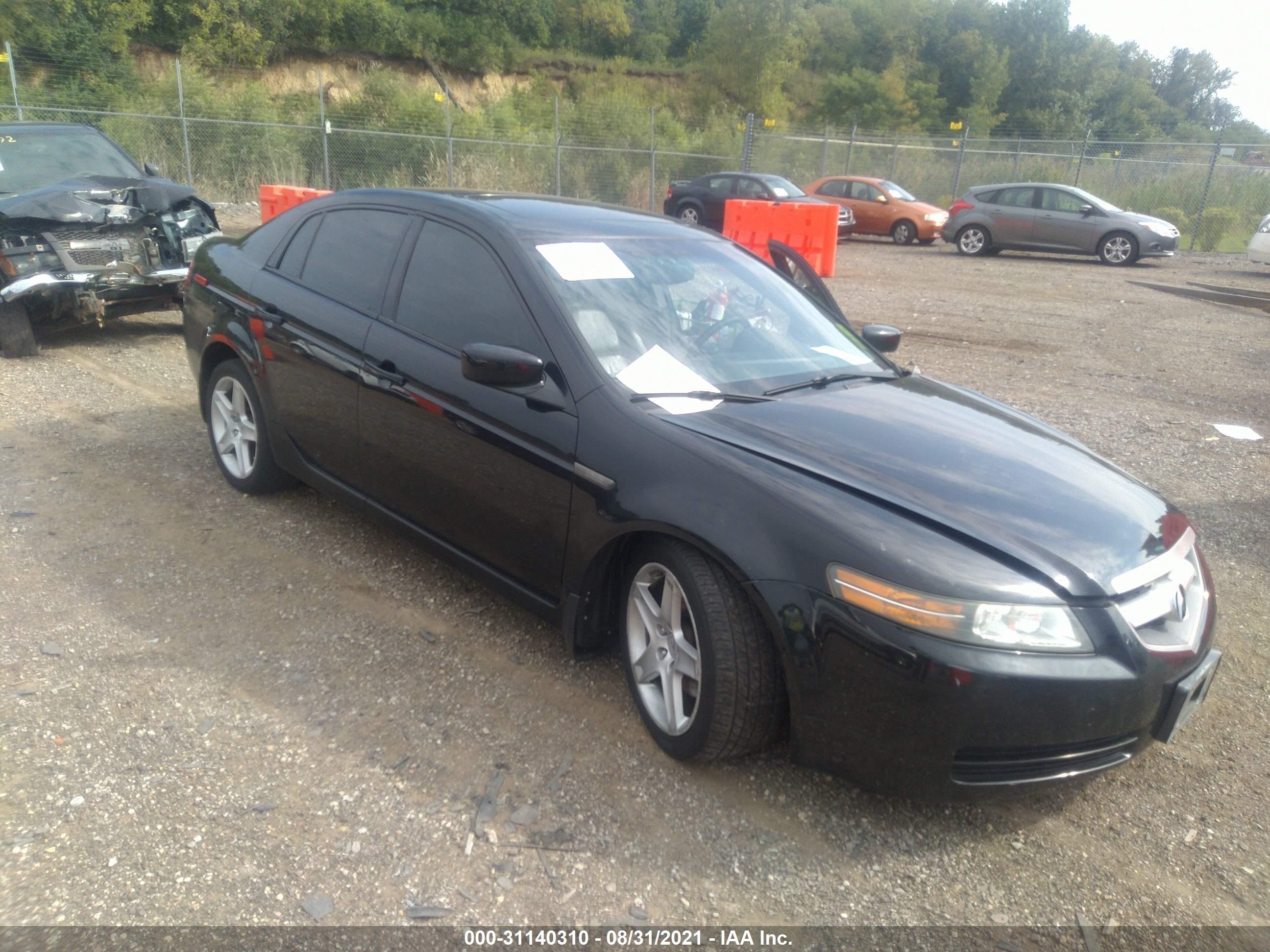 ACURA TL 2006 19uua66266a062033