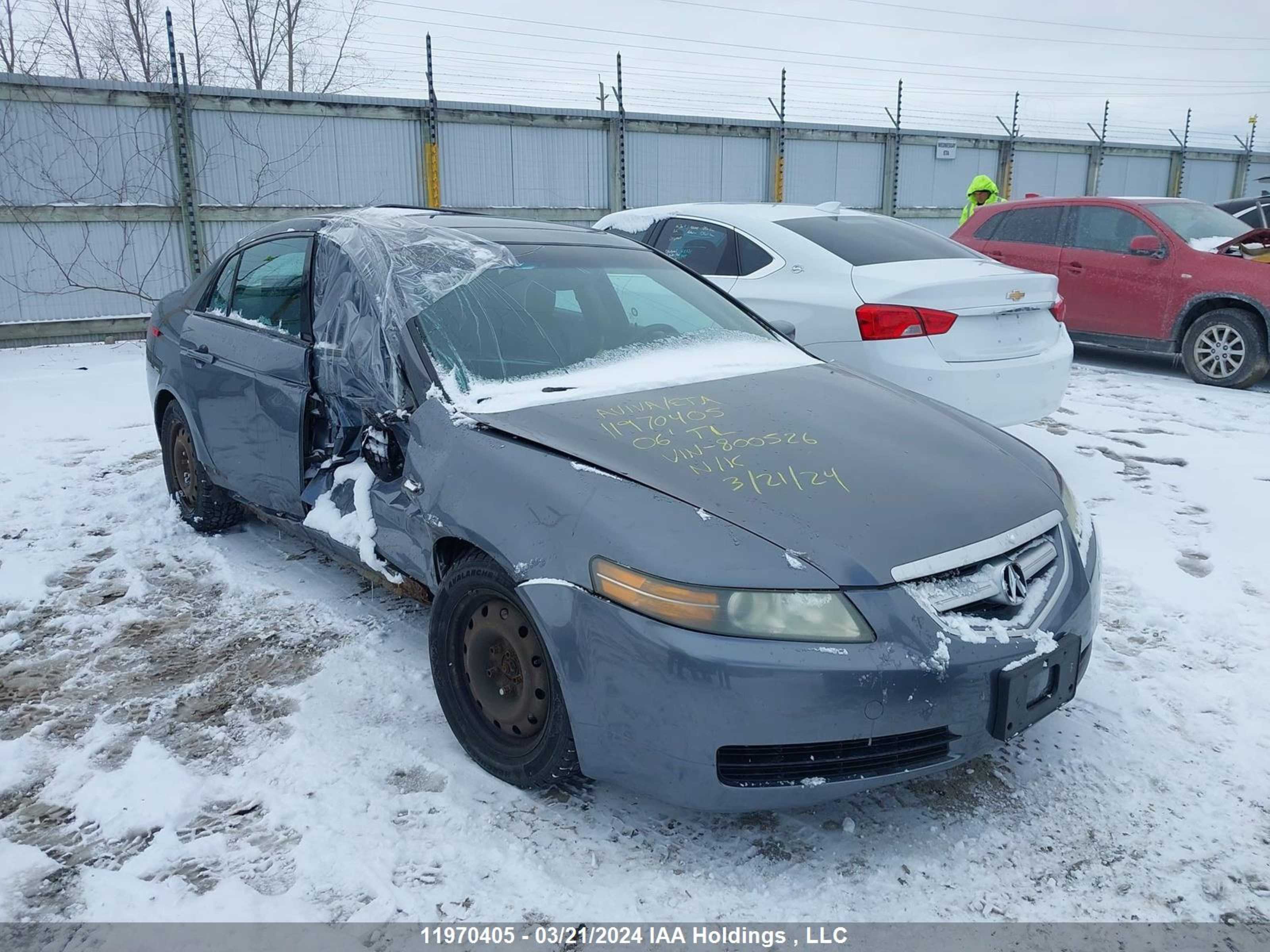 ACURA TL 2006 19uua66266a800526