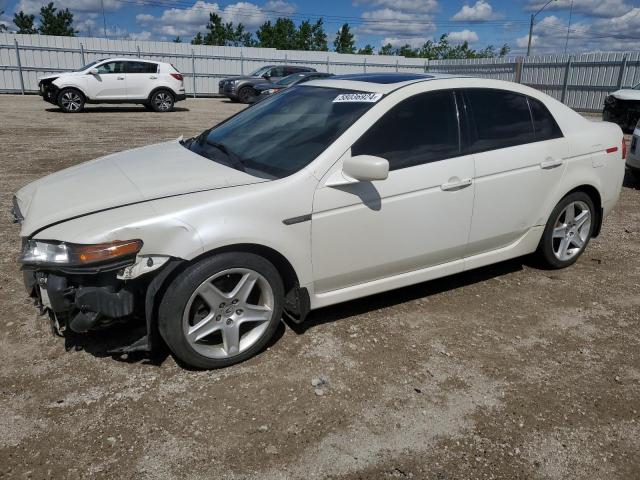 ACURA TL 2006 19uua66266a802180