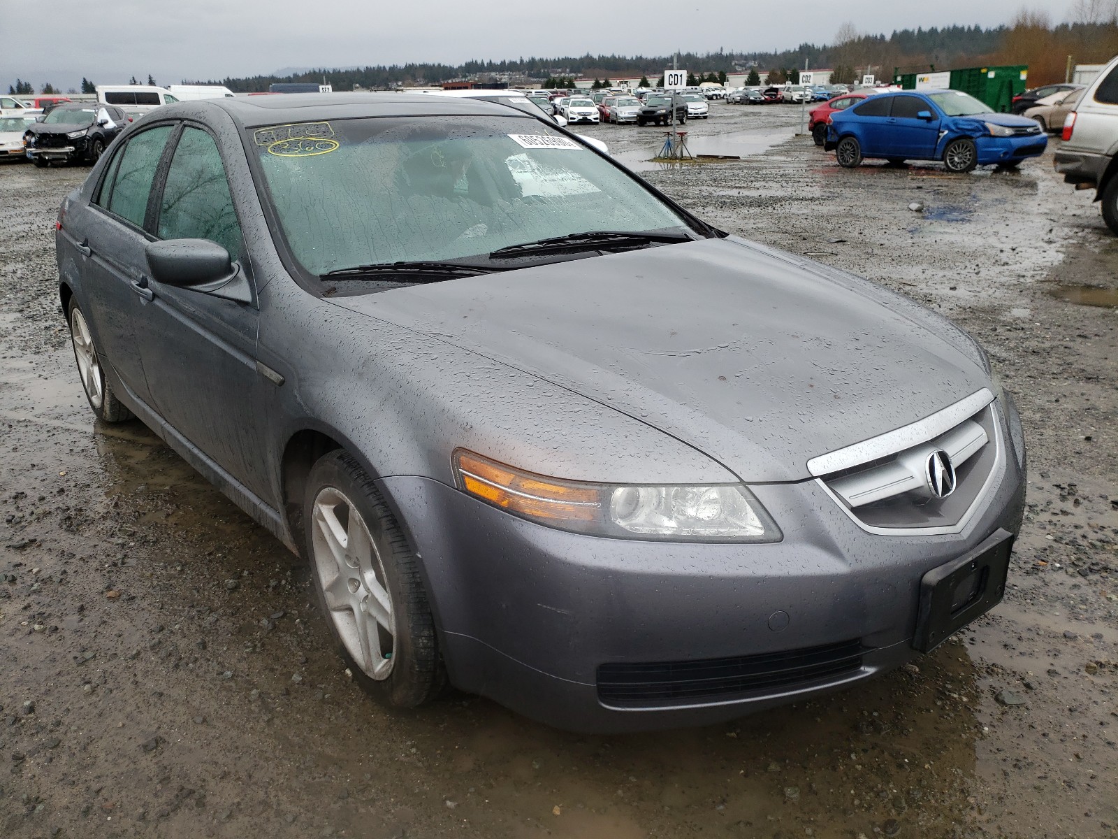 ACURA TL 2004 19uua66274a062863