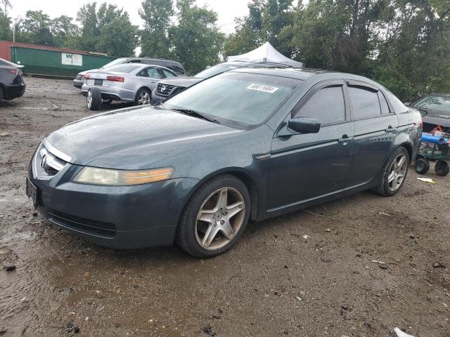 ACURA TL 2004 19uua66274a065889