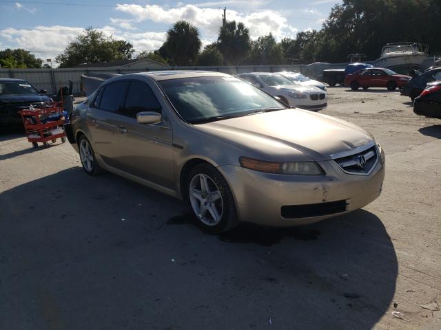 ACURA TL 2005 19uua66275a039391