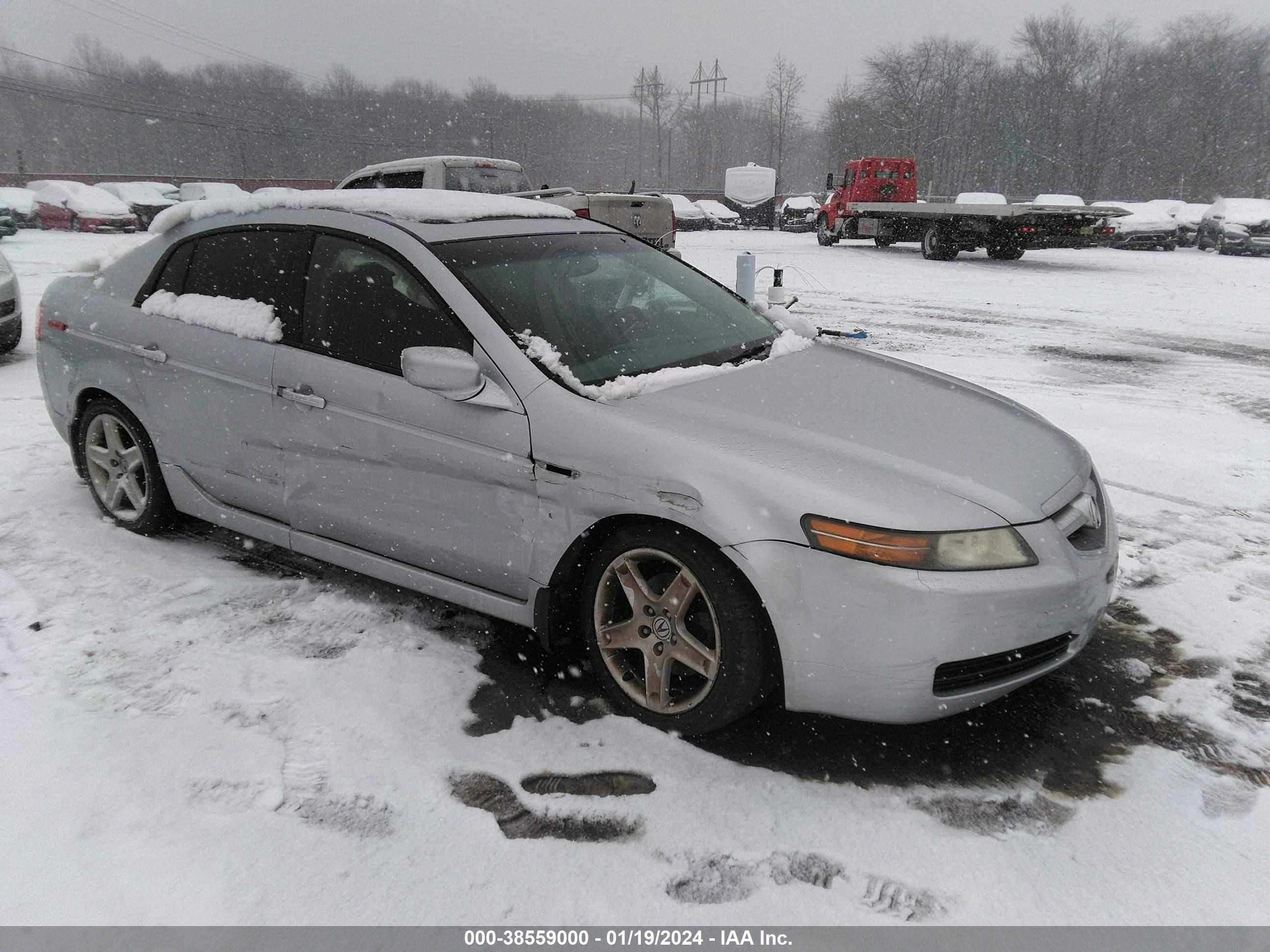 ACURA TL 2005 19uua66275a060354