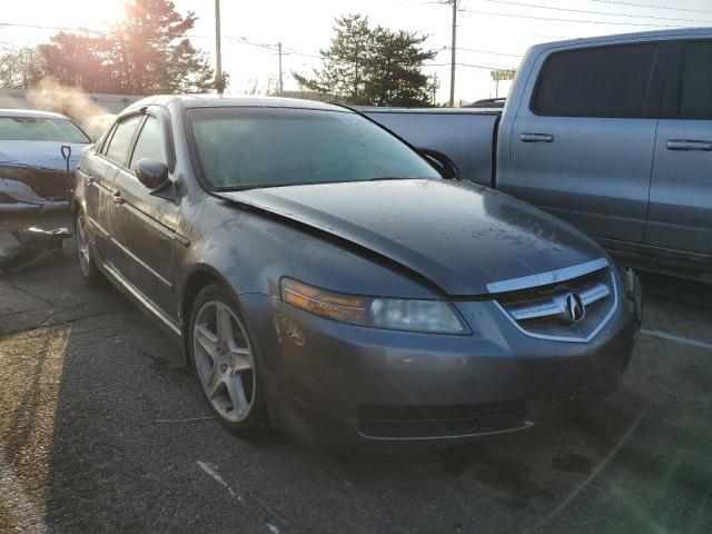 ACURA TL 2005 19uua66275a075131