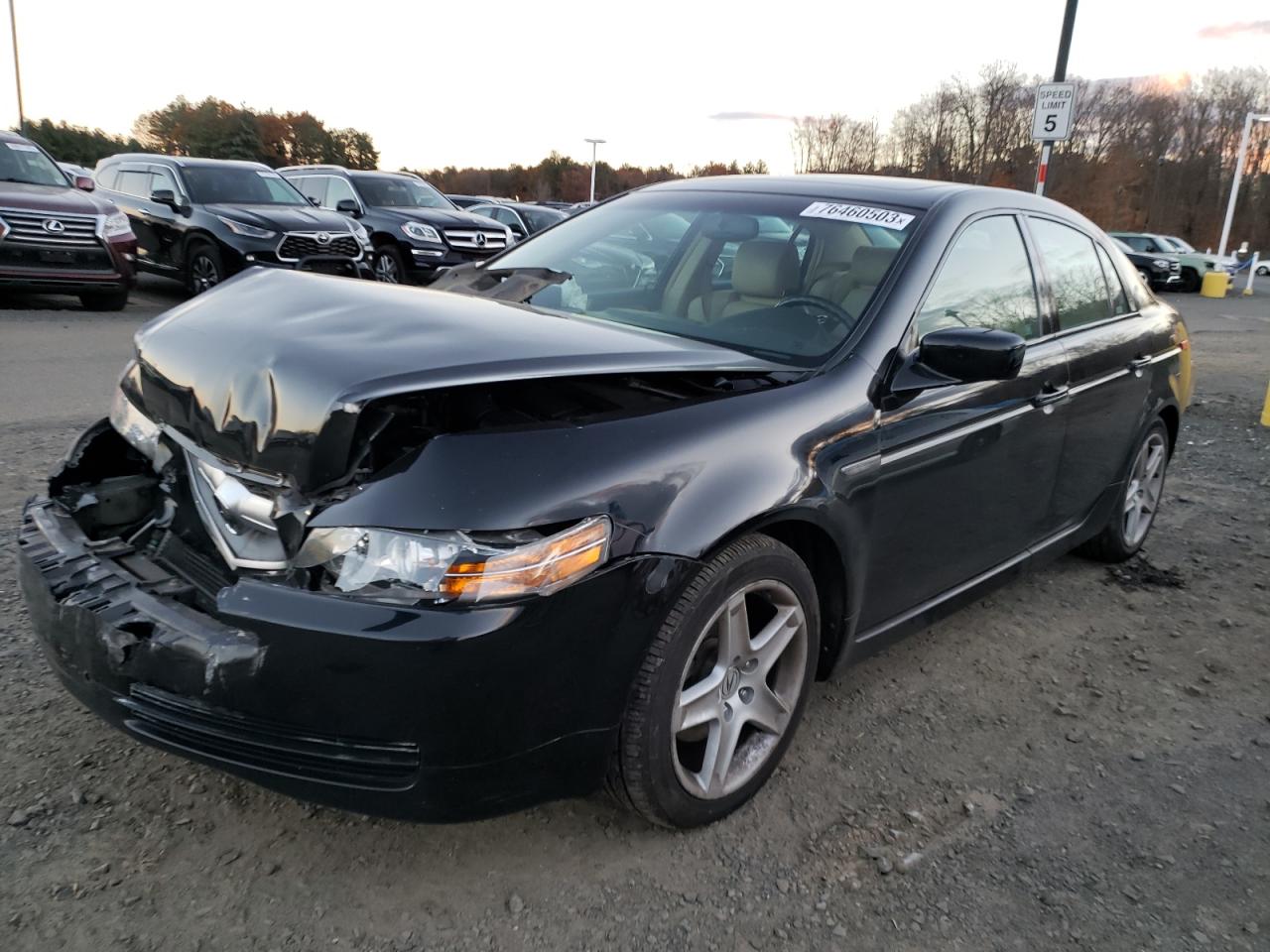 ACURA TL 2005 19uua66275a076991