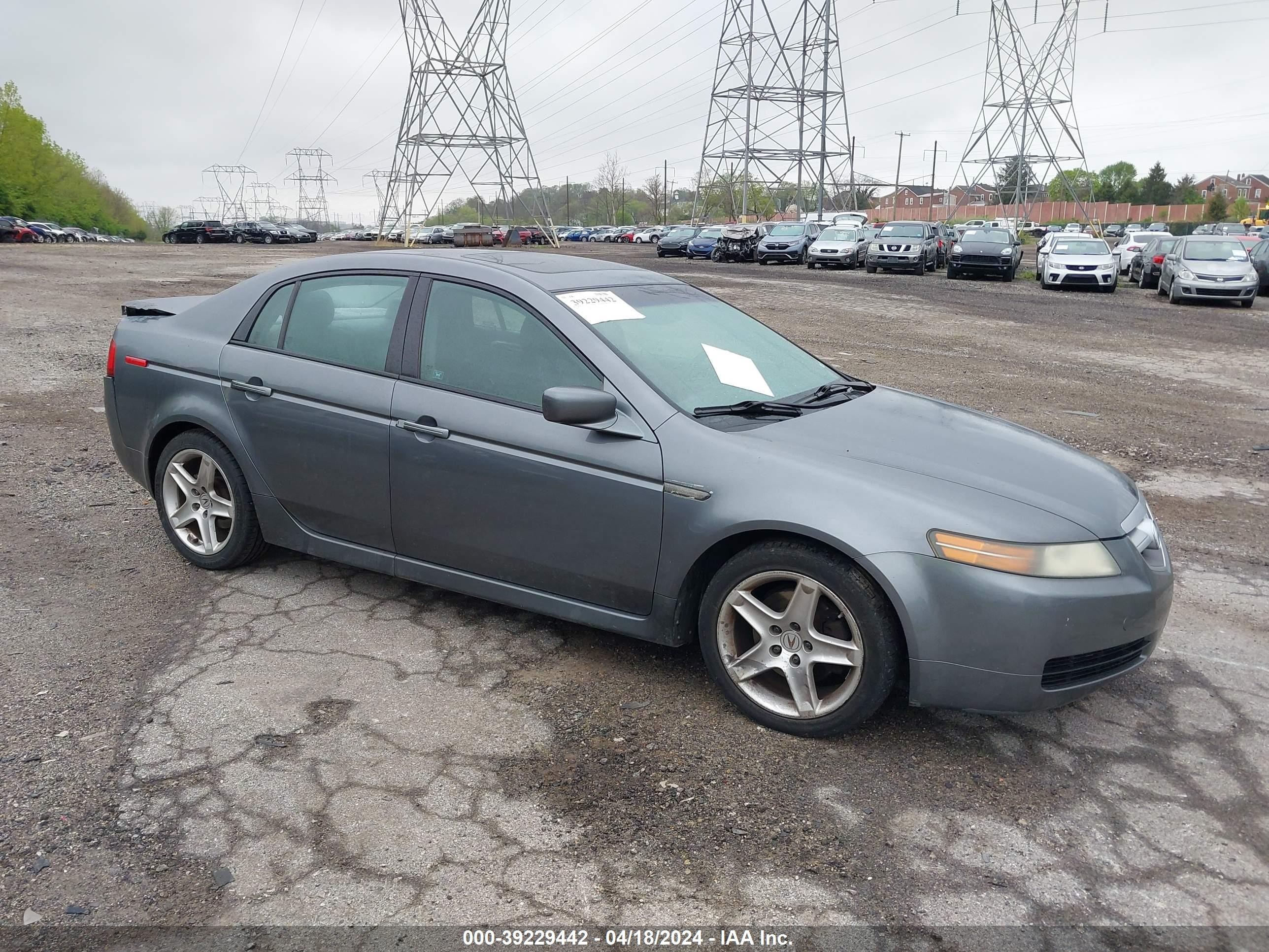 ACURA TL 2006 19uua66276a008109