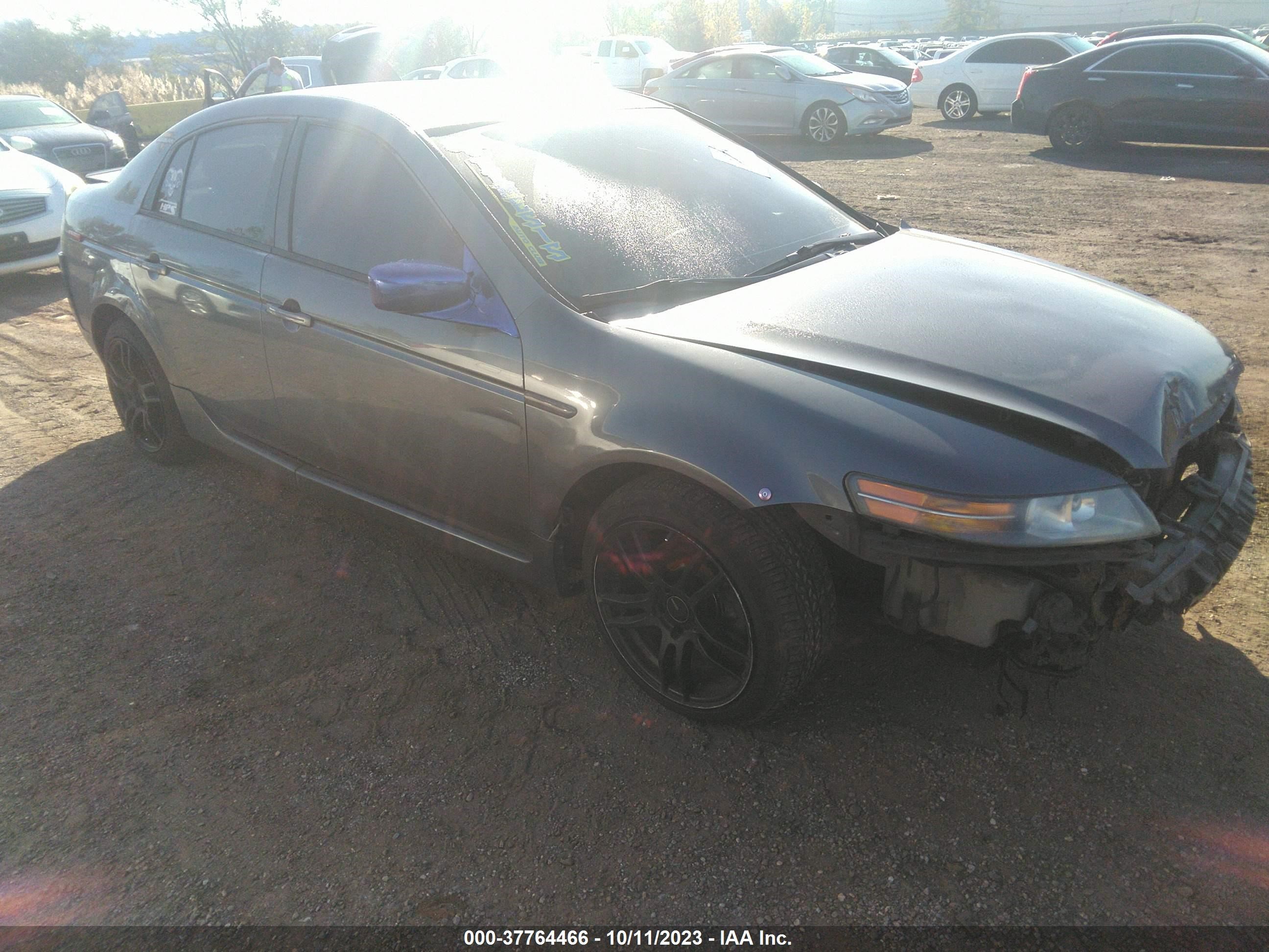 ACURA TL 2006 19uua66276a010152