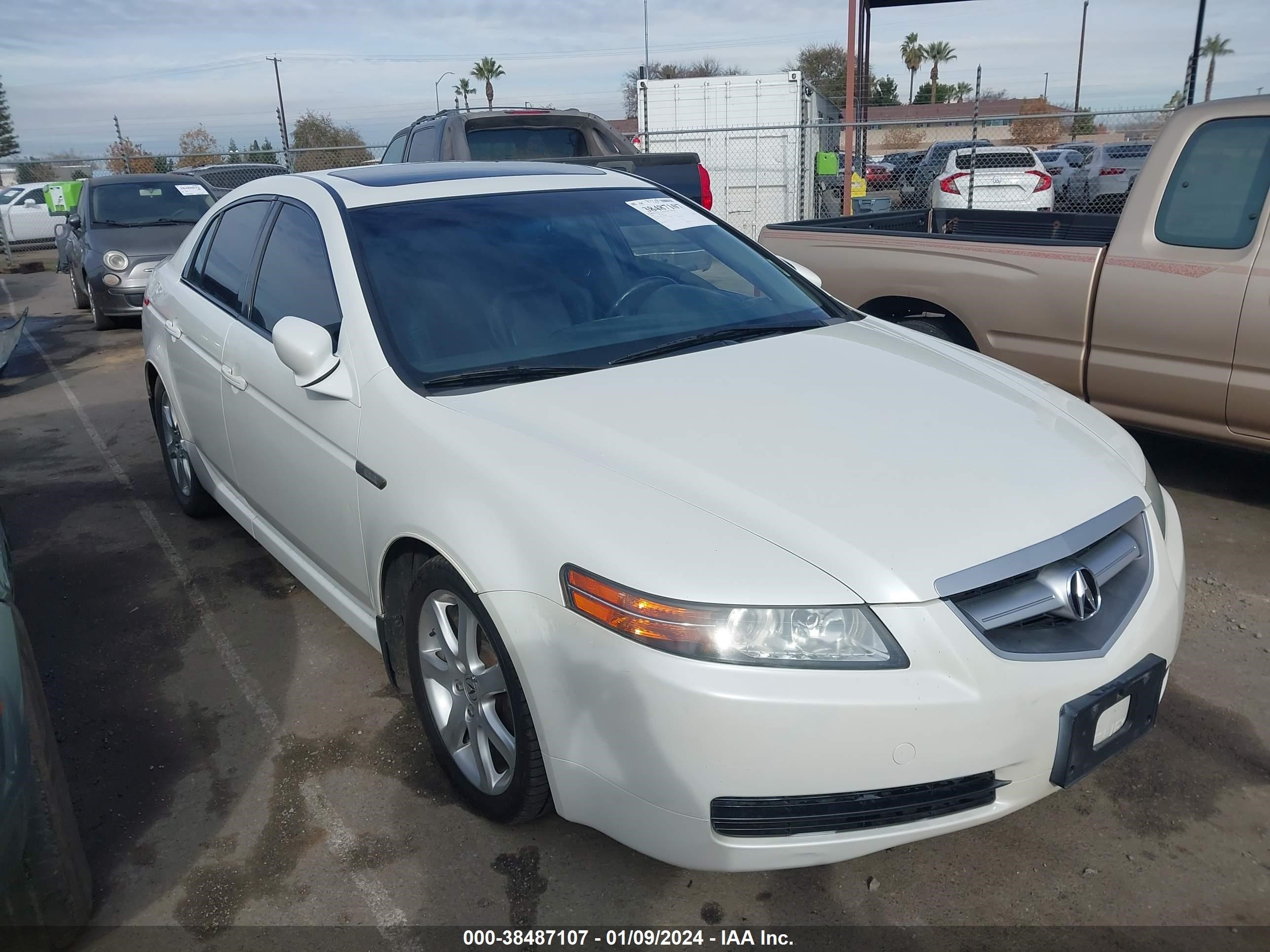 ACURA TL 2006 19uua66276a010586