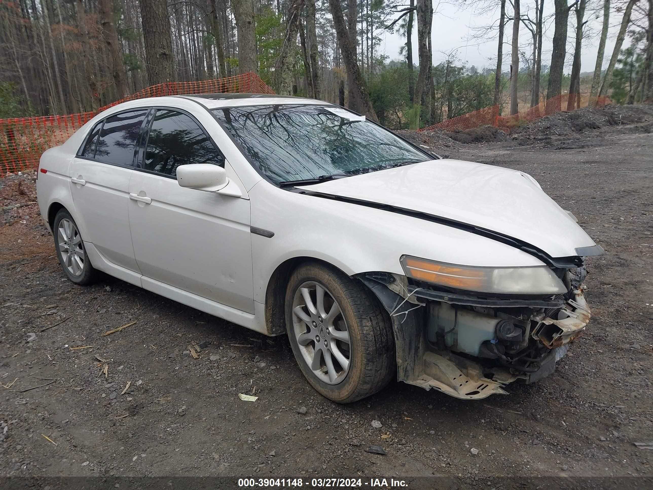 ACURA TL 2006 19uua66276a018218