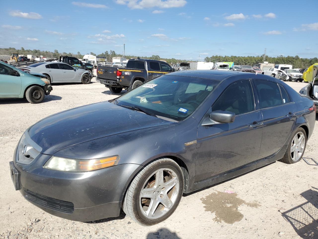 ACURA TL 2006 19uua66276a041501