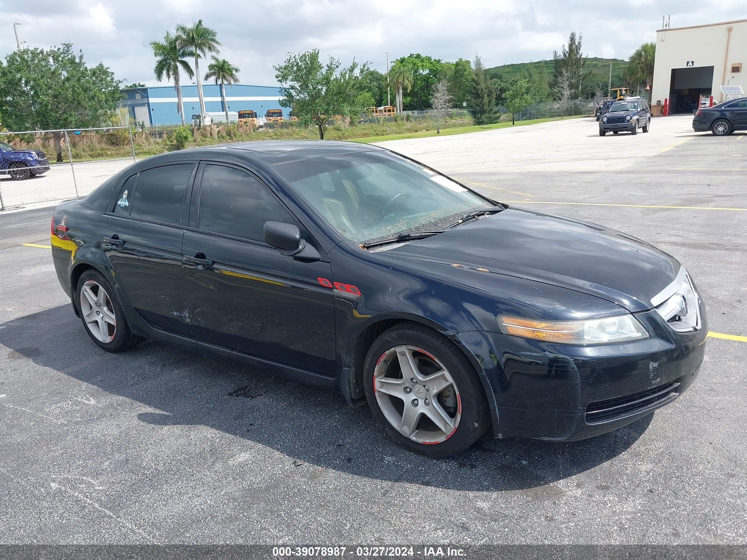 ACURA TL 2006 19uua66276a060694