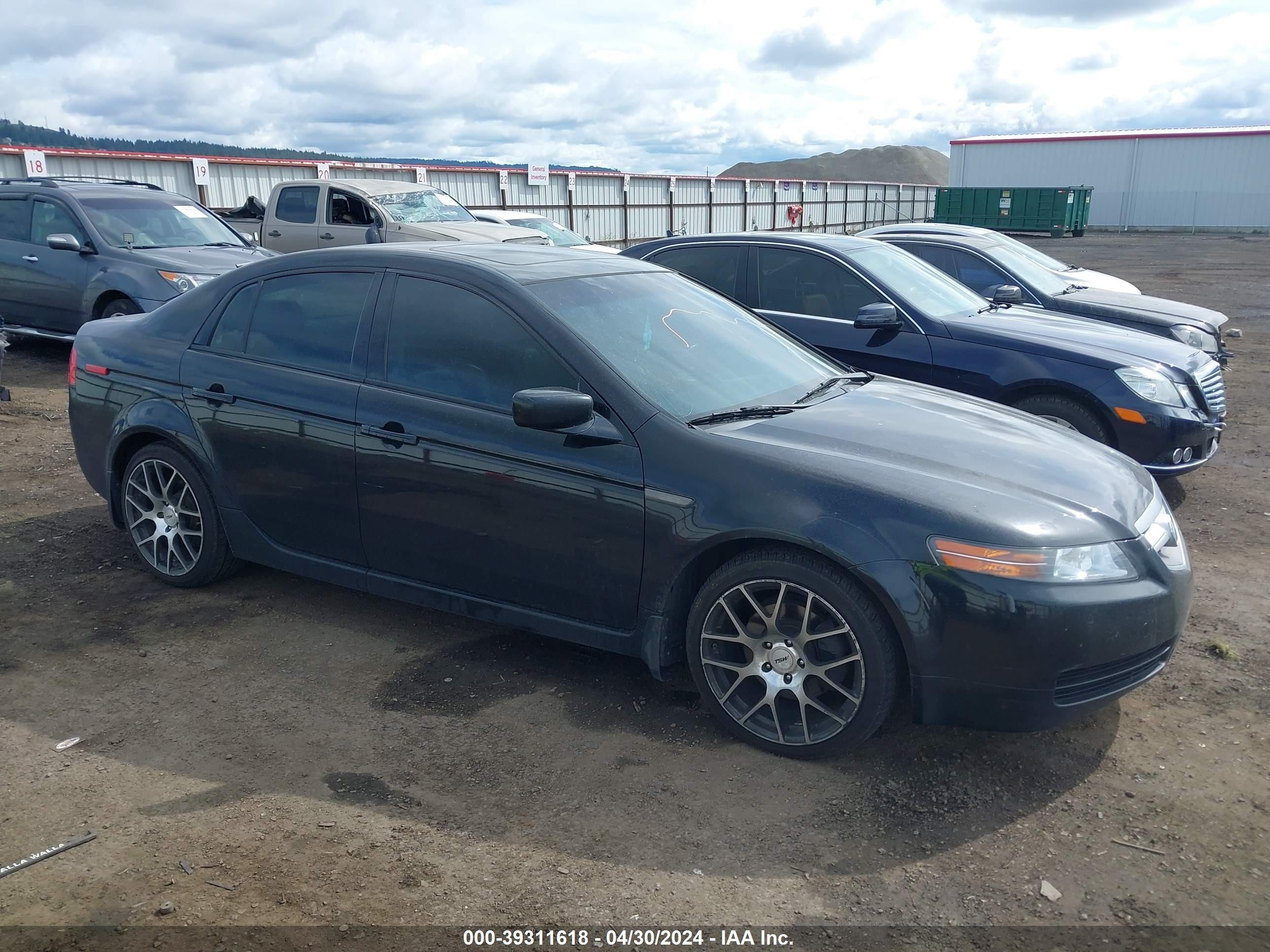 ACURA TL 2006 19uua66276a062431