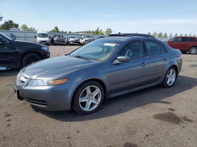 ACURA 3.2TL 2006 19uua66276a072974