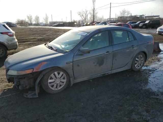 ACURA TL 2006 19uua66276a804357