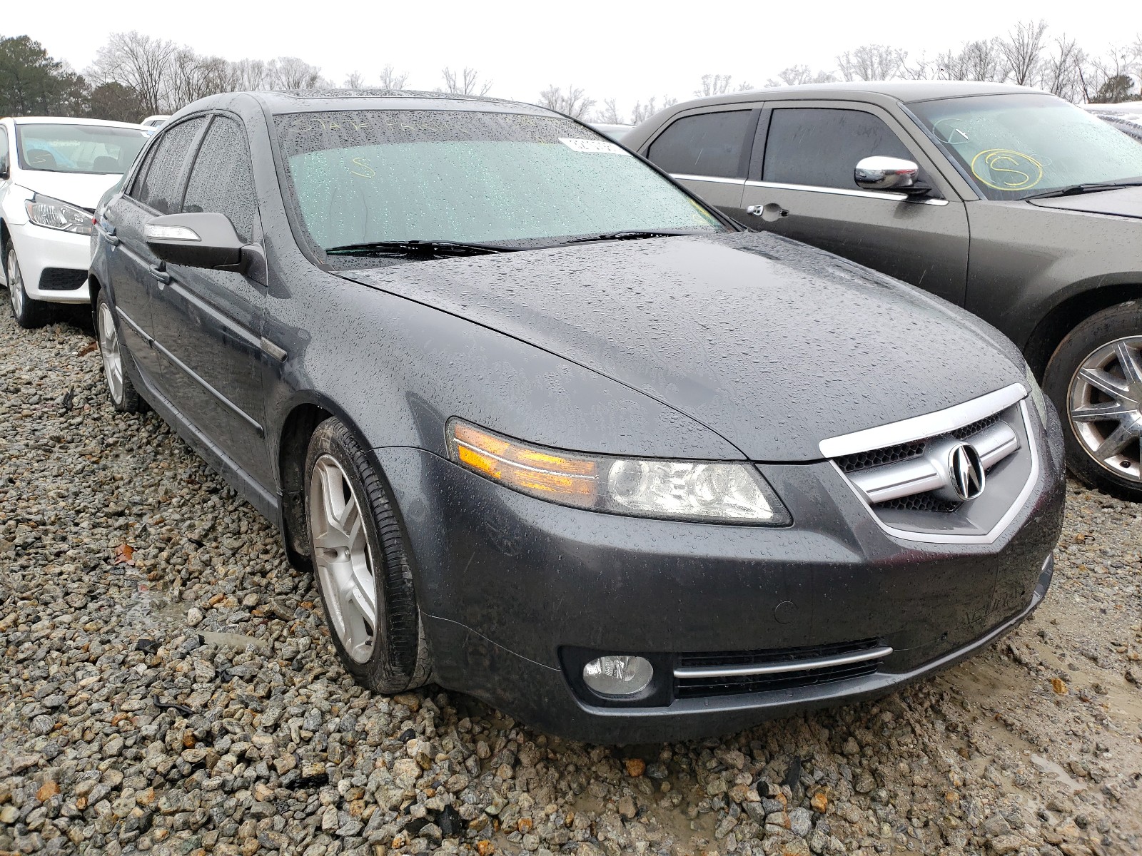 ACURA TL 2008 19uua66278a054395