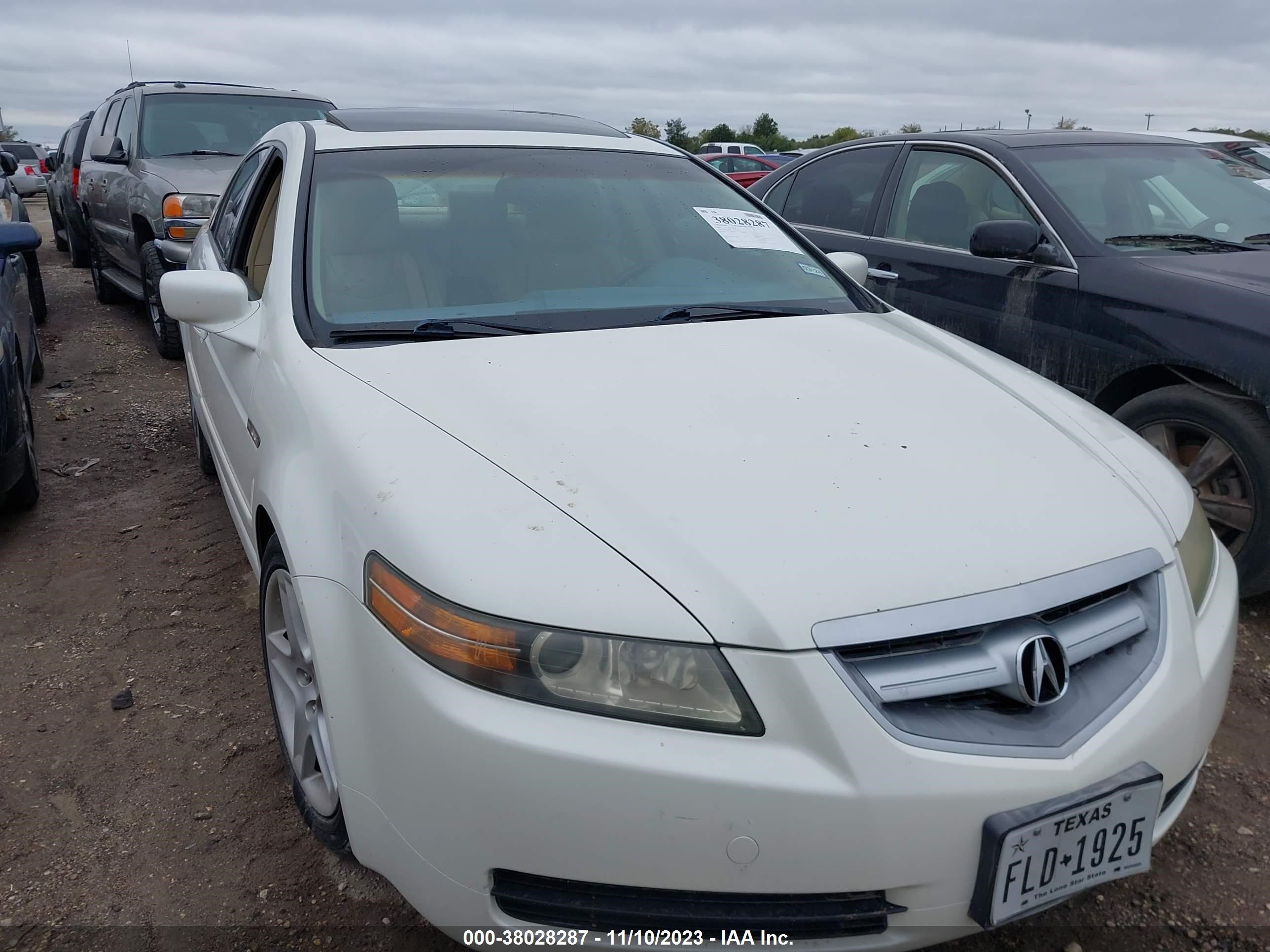 ACURA TL 2005 19uua66285a029579