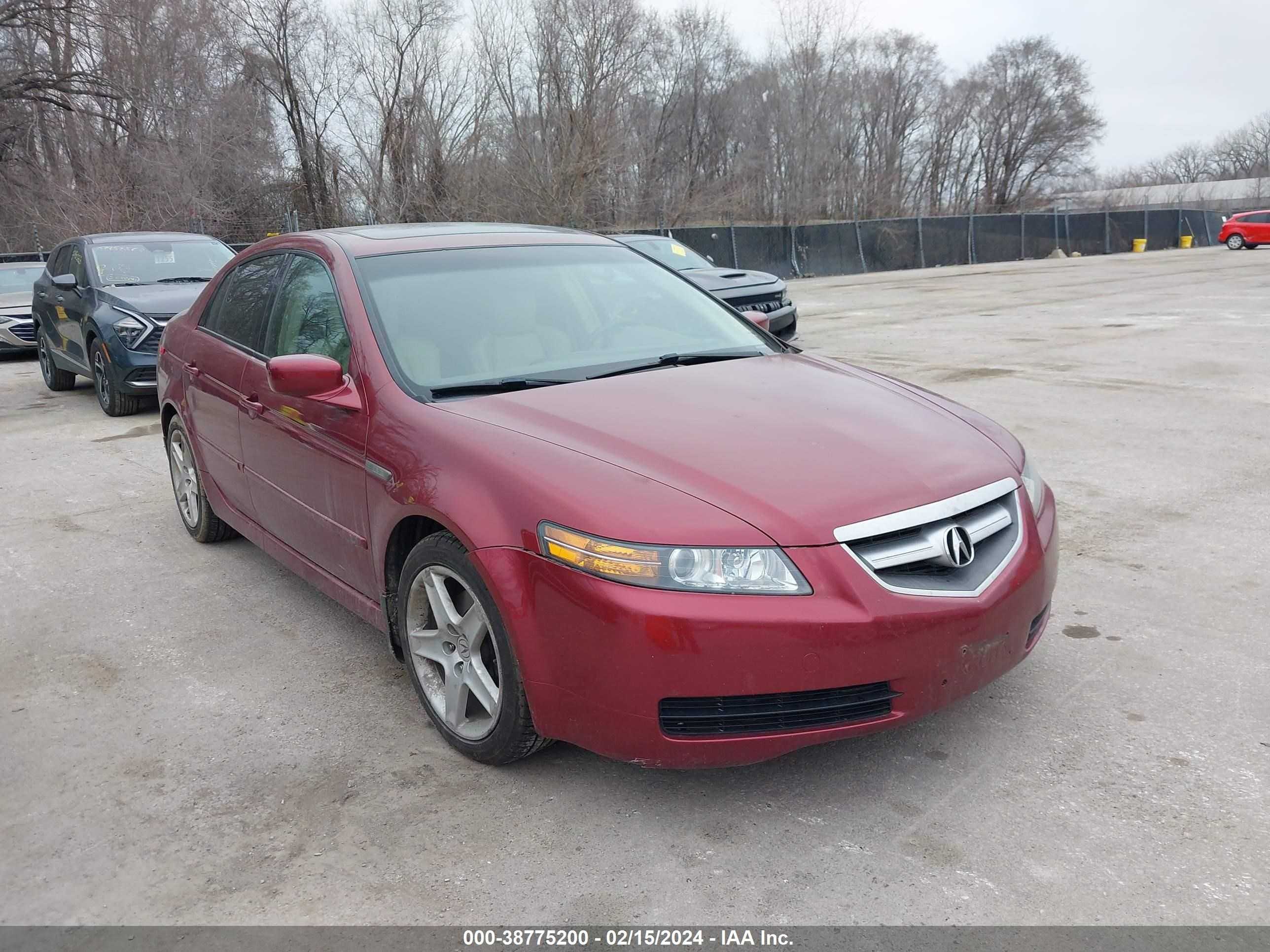 ACURA TL 2006 19uua66286a001900