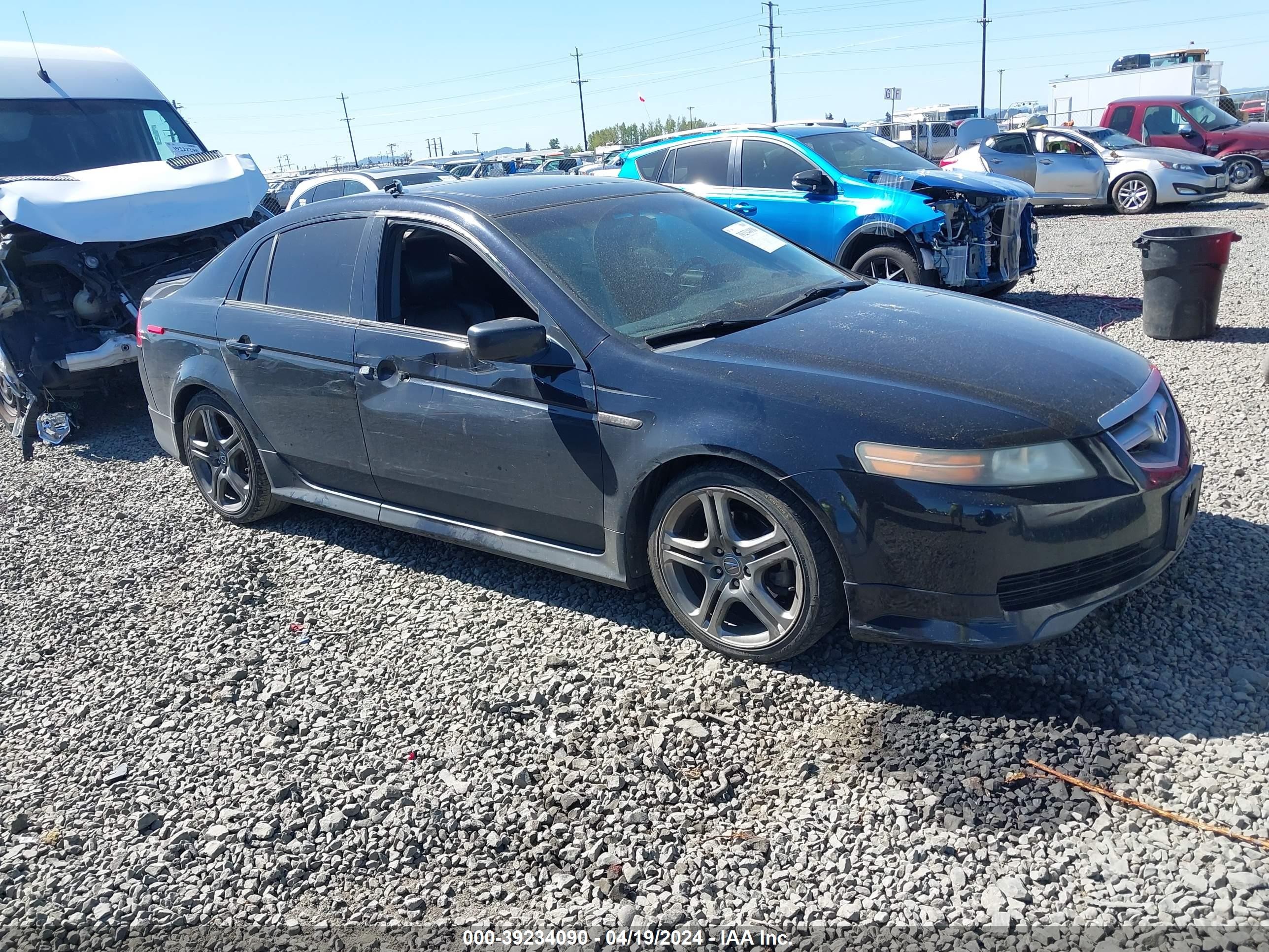 ACURA TL 2006 19uua66286a030281