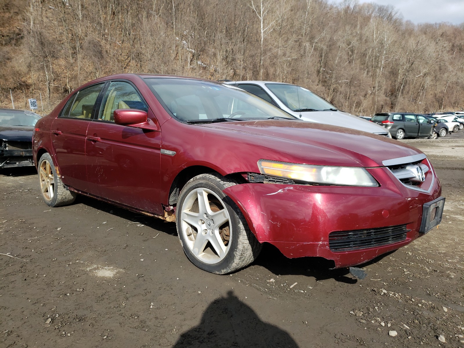 ACURA 3.2TL 2006 19uua66286a034475