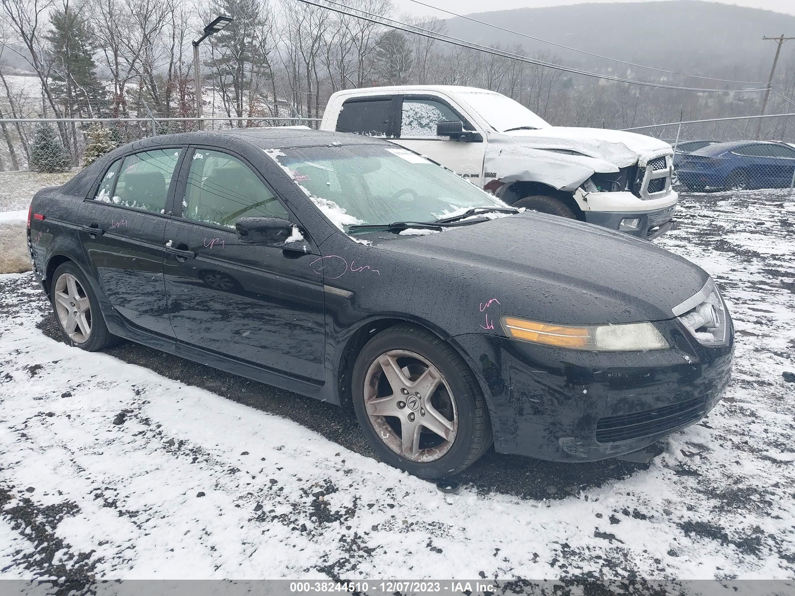 ACURA TL 2006 19uua66286a038347