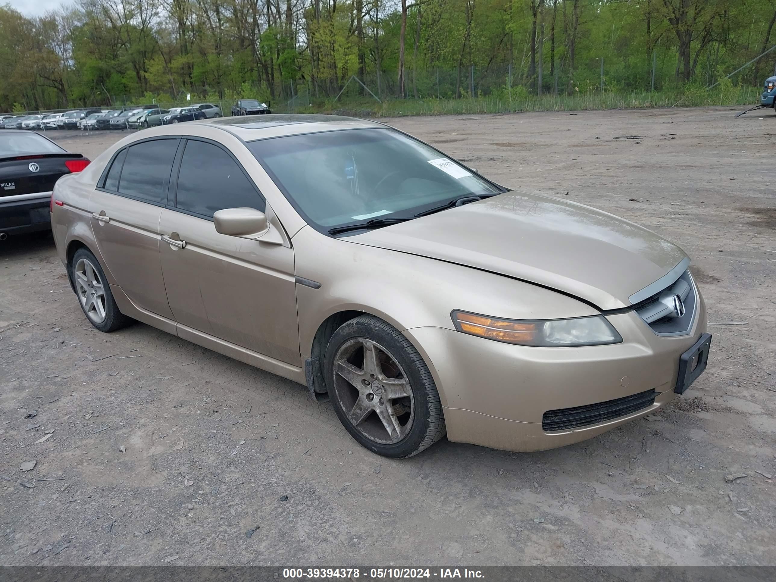 ACURA TL 2006 19uua66286a071526