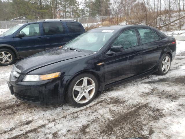 ACURA 3.2TL 2006 19uua66286a803413