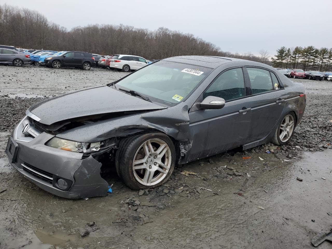 ACURA TL 2008 19uua66288a048959