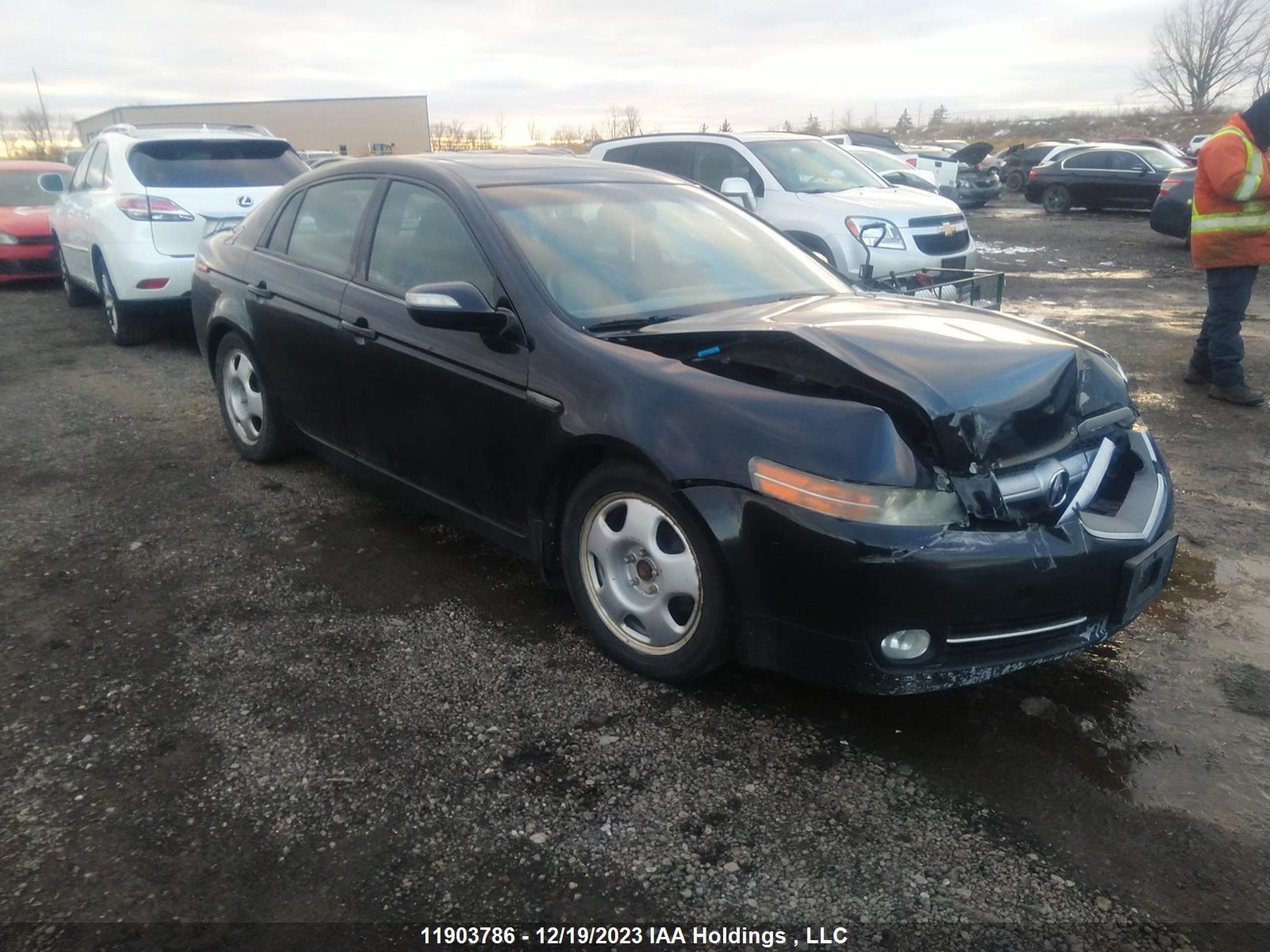 ACURA TL 2008 19uua66288a802782