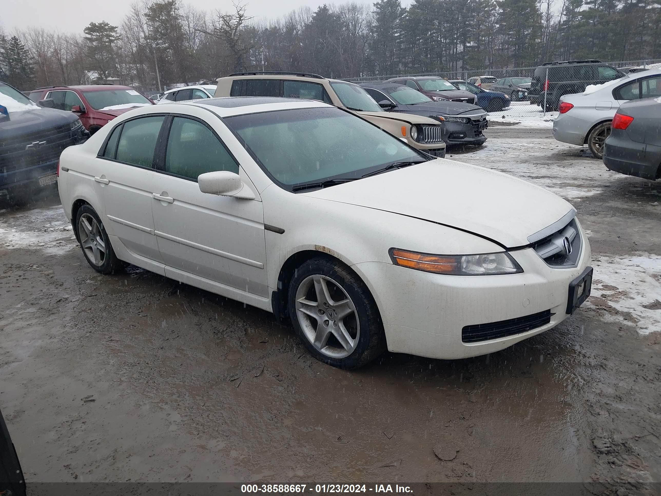 ACURA TL 2004 19uua66294a005855