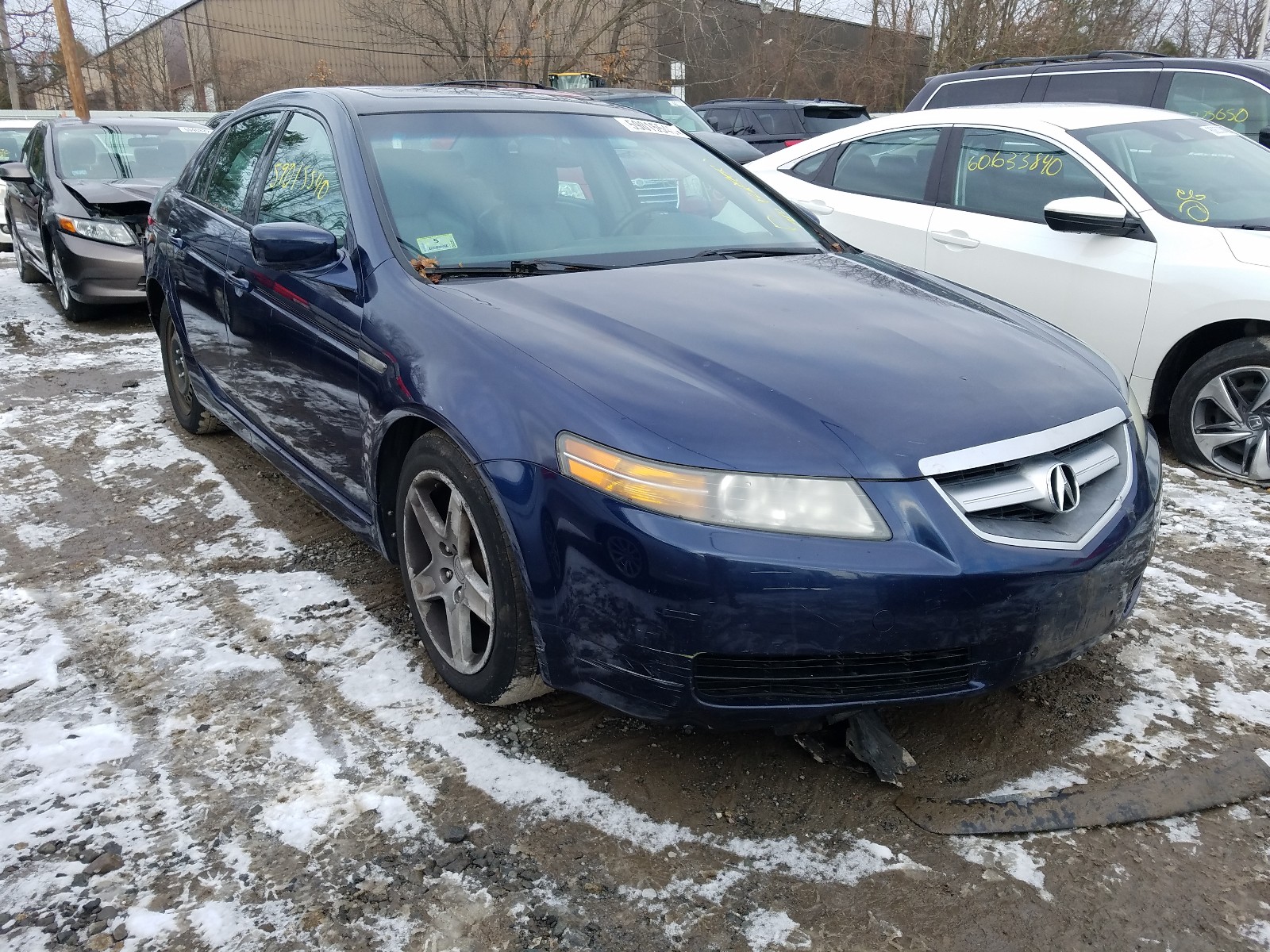 ACURA TL 2005 19uua66294a044753