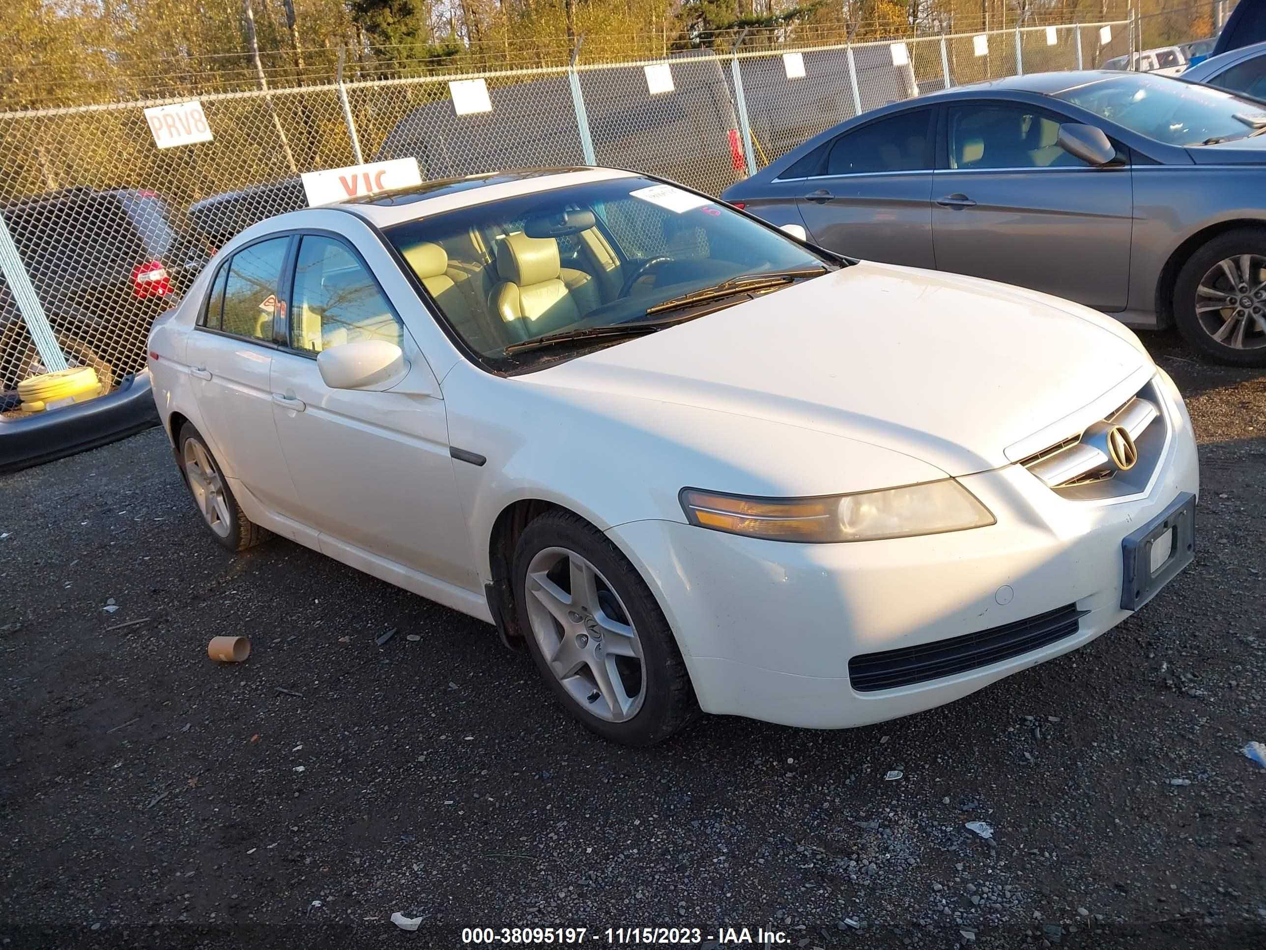 ACURA TL 2004 19uua66294a052531