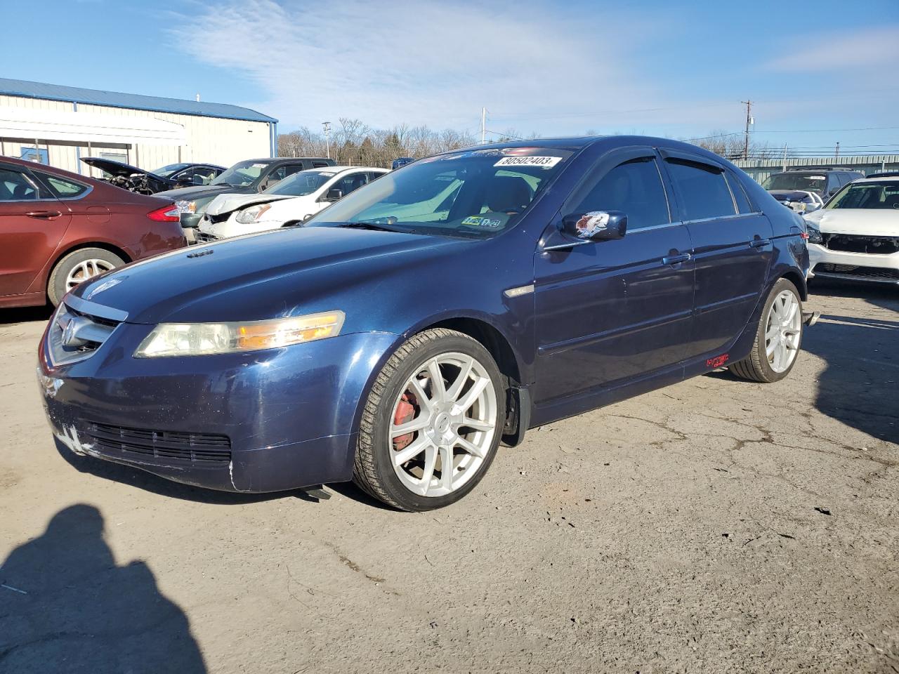 ACURA TL 2005 19uua66295a036623