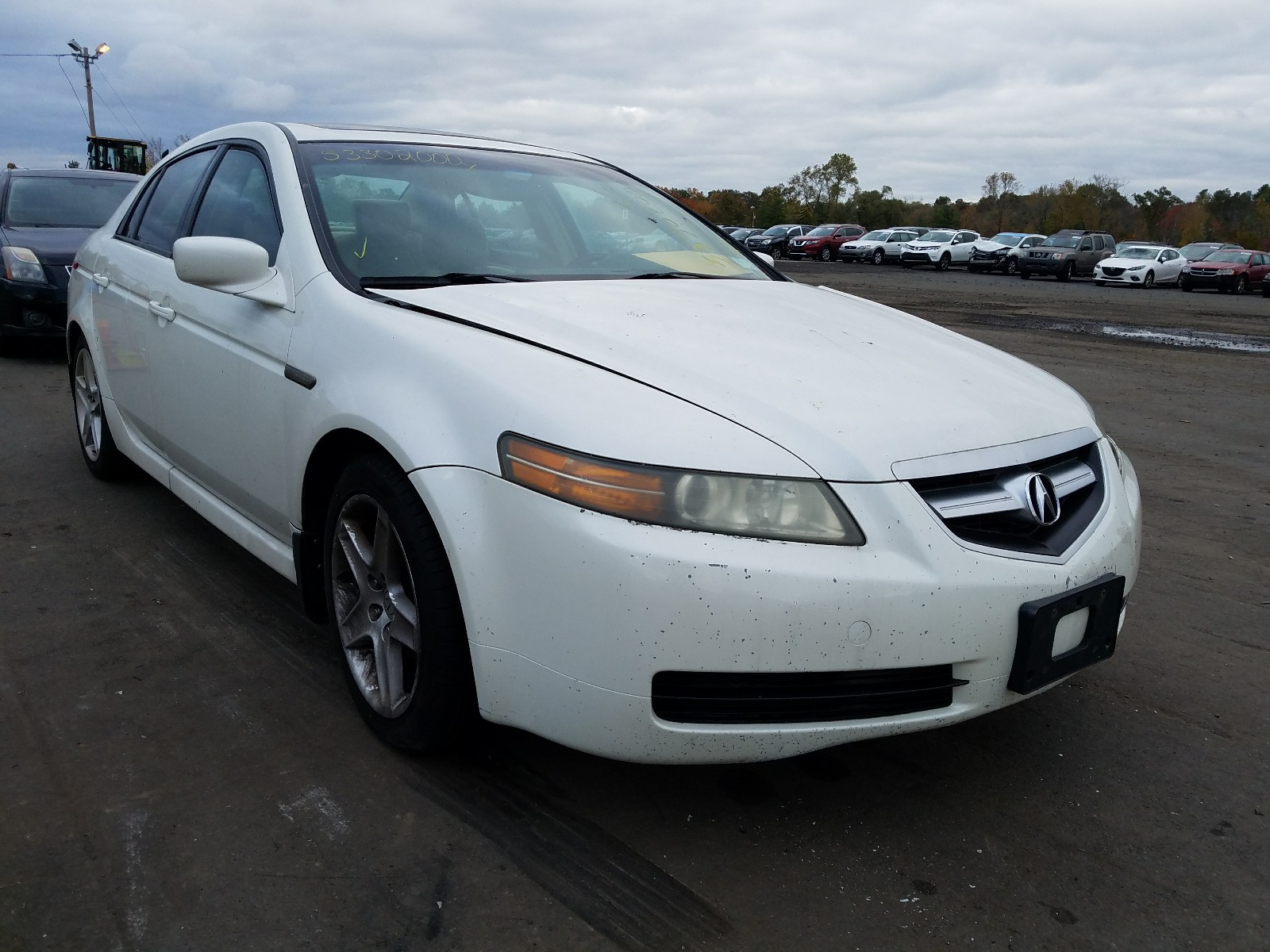 ACURA TL 2005 19uua66295a049257